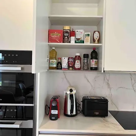 Luxury Lakeside Geneva Lausanne * Rolle